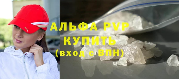 амф Новозыбков