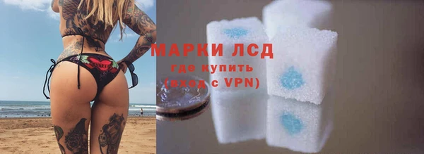 амф Новозыбков