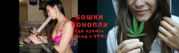 спайс Нягань