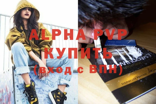 амф Новозыбков