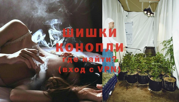 ГАЛЛЮЦИНОГЕННЫЕ ГРИБЫ Няндома