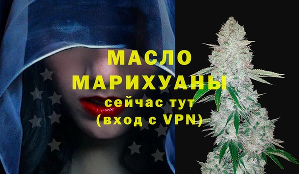 амф Новозыбков