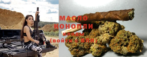 амф Новозыбков
