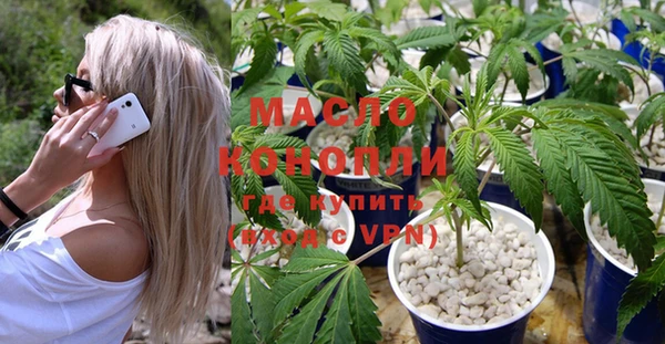 шишки Кадников